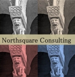 Provolis Consulting